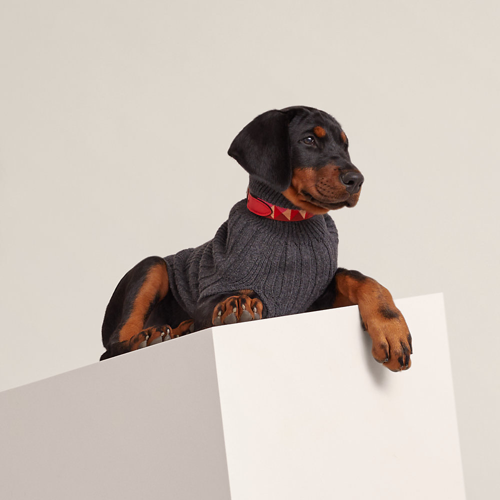 エルメスセリエ ドッグウェア 犬服 カシミヤ Dog pullover | Hermès USA